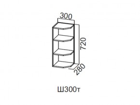 Ш300т/720 Шкаф навесной 300/720 (торцевой) в Лянторе - lyantor.магазин96.com | фото