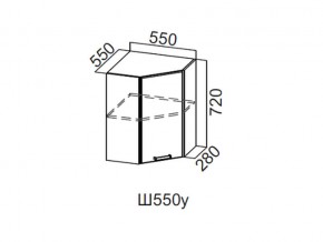 Ш550у/720 Шкаф навесной 550/720 (угловой) в Лянторе - lyantor.магазин96.com | фото