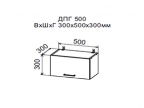 Шкаф верхний ДПГ500 горизонтальный в Лянторе - lyantor.магазин96.com | фото