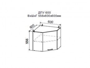 Шкаф верхний ДПУ600 угловой в Лянторе - lyantor.магазин96.com | фото